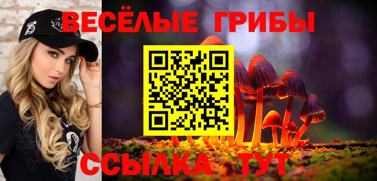 Псилоцибиновые грибы Magic Shrooms  Вход с VPN  Псилоцибиновые грибы Psilocybine cubensis  Химки 