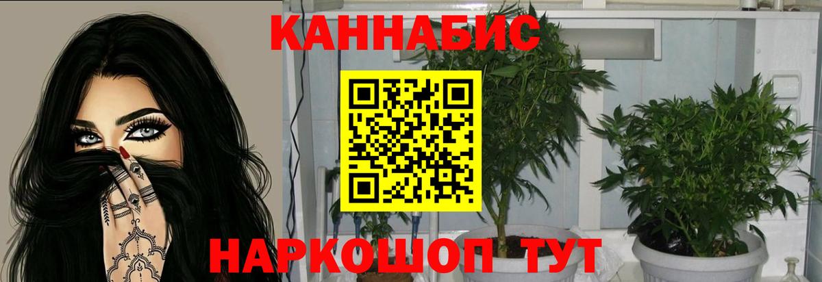 Бошки Шишки ГИДРОПОН Химки